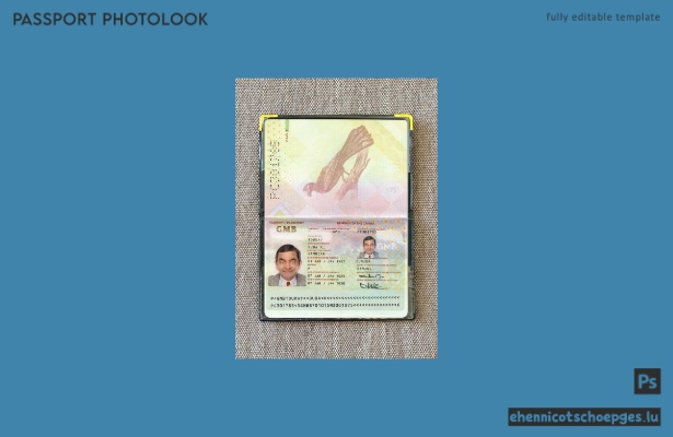 Gambia-Pass 2025-heute: Beispielansicht des Passfotos